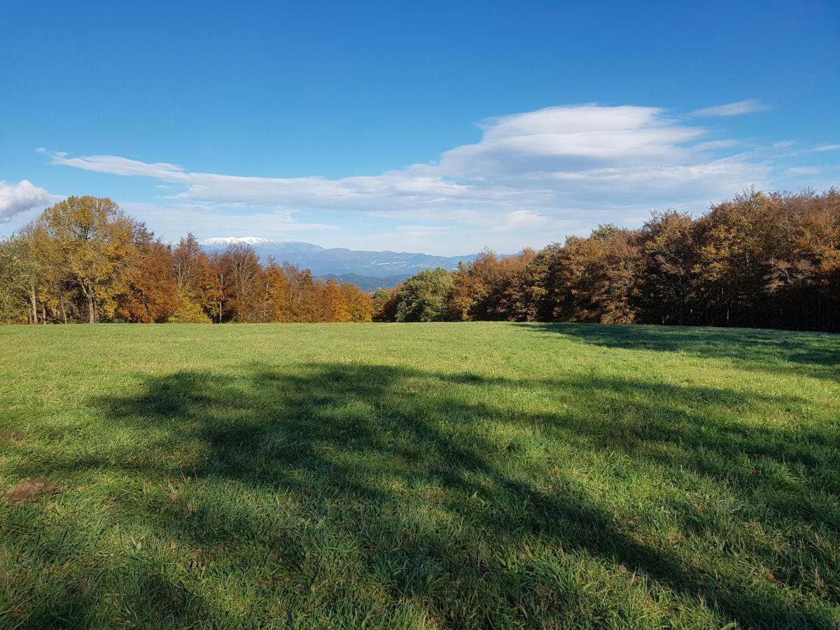 Santuari De La Salut De Sant Felíu de Pallarols Kültér fotó